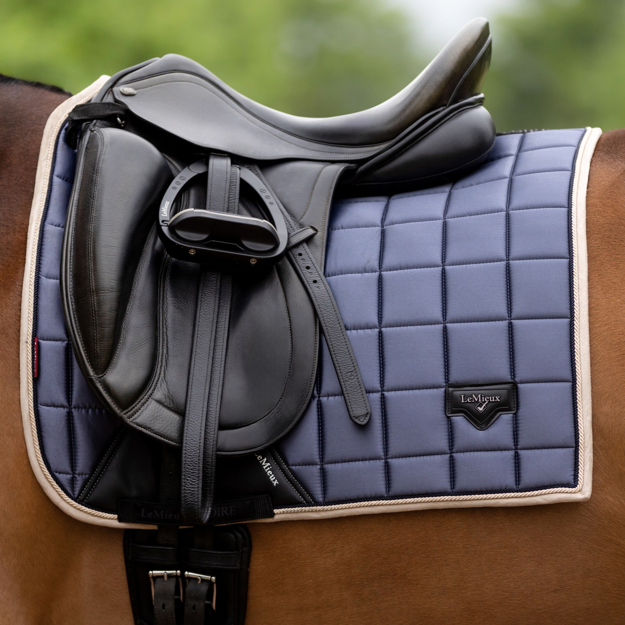 Kit équitation Lemieux - Coussin De Selle, Protège-selle Et Couverture Anti-mouches En Coton
